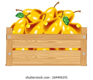 Wooden box with ripe pear on white background