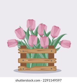 Wooden box with spring flowers on a white background. Pink tulips, leaves. Watercolor illustration