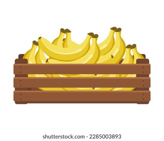 Wooden box with tropical bananas. Healthy food, fruits, agriculture illustration, vector