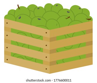 Wooden boxe full of green ripe and fresh fruits. Container with green apples. Fall harvest, orchard vector illustration. Picking apples concept. Flat cartoon