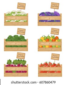 Wooden boxes of vegetables. Organic vegetables. Vector illustration.