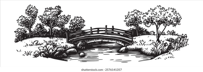 wooden bridge over river in a park in black and white hand-drawn style