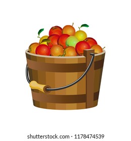 Wooden bucket with apples. Vector illustration isolated on white