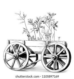 wooden cart with big wheels with plants inside on white background, sketch vector graphics monochrome illustration