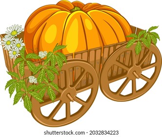 Wooden cart with huge pumpkin on white background. Vector image