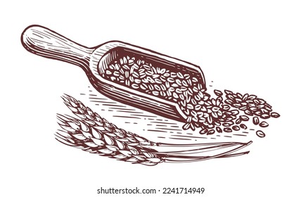 Wooden cooking scoop with grains and wheat ears. Healthy organic natural farm food. Vintage sketch vector illustration