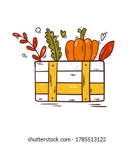 Wooden crate box with a pumpkin and autumn leaves - Hand drawn vector illustration isolated