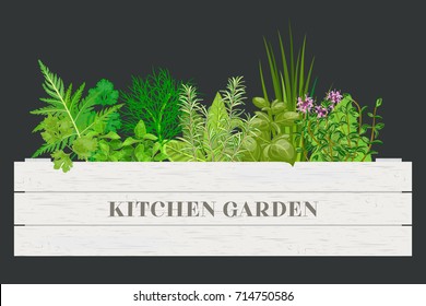 Wooden crate of farm fresh cooking herbs in wooden box on dark. Greenery basil, rosemary, chives, thyme, oregano with text. Horticulture. houseplants. Kitchen Garden. For advertising, poster, banner