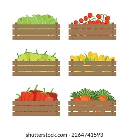 Wooden Crate with Farm Vegetables as Seasonal Harvest Vector Set