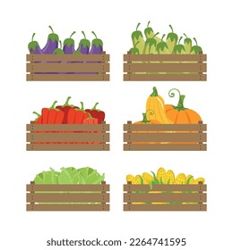 Wooden Crate with Farm Vegetables as Seasonal Harvest Vector Set