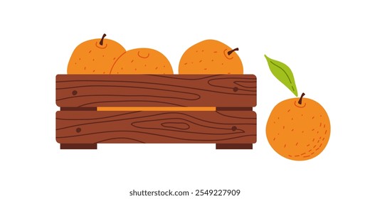 A wooden crate filled with fresh oranges and one orange beside it on a white background