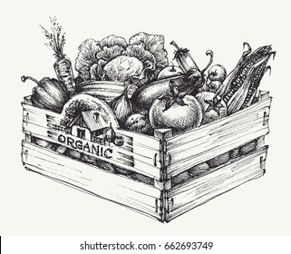 Wooden crate full of organic food isolated, farm organic vegetables, organic word written in the wood