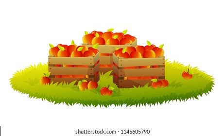 Wooden crate full of red and yellow apples on grass. Isolated on white background. Vector illustration.