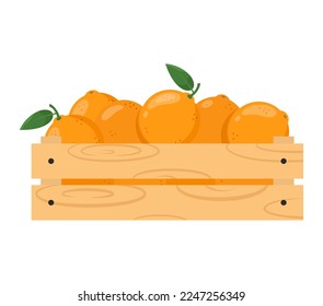 Cañón de madera con naranjas maduras. Mercado de agricultores, alimentación saludable o fruta tropical fresca. Ilustración vectorial aislada en fondo blanco.