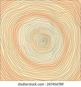 wooden cut texture - vector illustration, you can easily change the color and size
