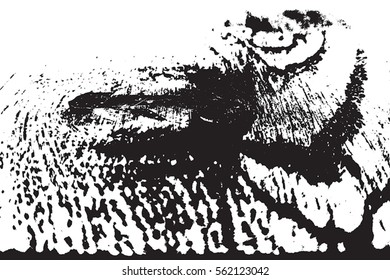 Wooden dried distressed overlay texture with big knot. Grunge old wood black cover template. Weathered rural grainy timber backdrop. Aged dry board creative element. EPS10 vector.