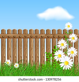 Wooden fence on green grass with daisy against the sky