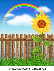 Wooden fence on green grass with sunflower against the sky