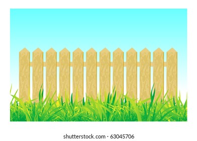 Wooden fence, summer grass