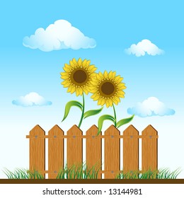 Wooden fence. sunflowers on summer meadow