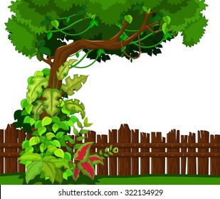 Wooden fence and tropical tree