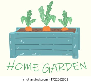 
Wooden flower pots carrots. Home garden. Color vector illustration. 