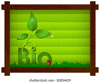 Wooden frame with a dark green background and cellular sprouts
