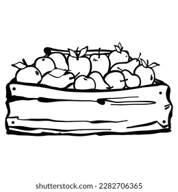 Wooden fruit box.  Doodle vector illustration. Box with pears and apples. Harvesting. Farm produce. Drawn by hand.  Isolated on white background. 