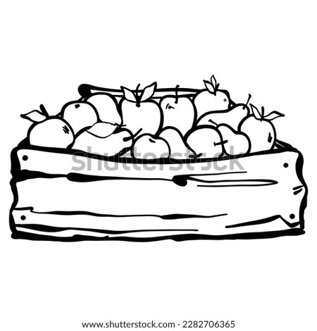 Wooden fruit box.  Doodle vector illustration. Box with pears and apples. Harvesting. Farm produce. Drawn by hand.  Isolated on white background. 