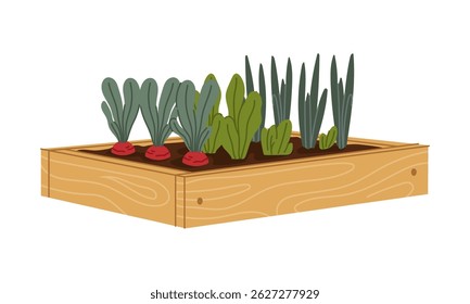 Wooden garden bed filled with soil and sprouting fresh vegetables like radish, spinach, and green onion. Cartoon vector flat fresh greens and veggies for farm, gardening or organic food concepts