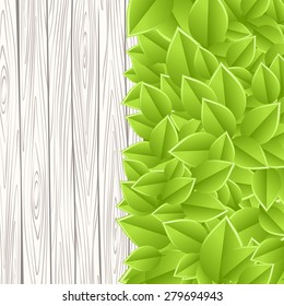 Wooden grey wall green leaves. Vector illustration.