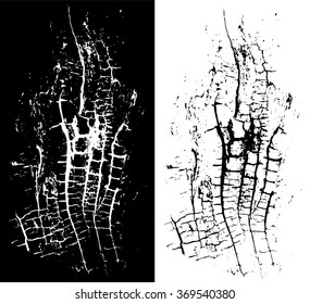 Wooden grungy rough background texture in black and white