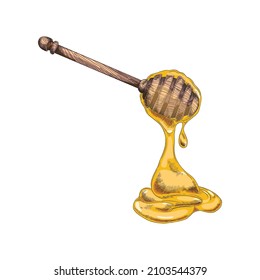 Wooden honey dipper in hand drawn sketch style, vector illustration isolated on white background. Engraved spoon with sweet honey liquid.