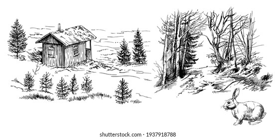 Wooden hut in the forest, idyllic landscape, hand drawn set