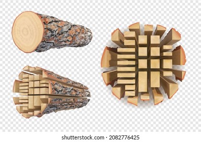 Wooden log cut on a lumber. Vector illustration.