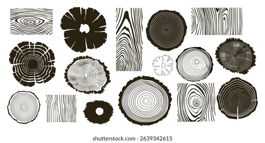 Wooden logs textures. Wood concepts graphics, lumber circles top view. Vintage outline tree rings stumps, cut trees structure racy vector collection
