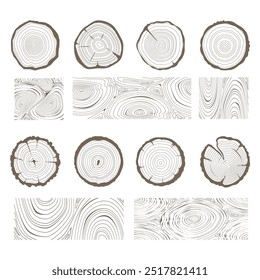 Wooden logs textures. Wood lumber circles and cut tree structure hand drawing isolated vector illustration