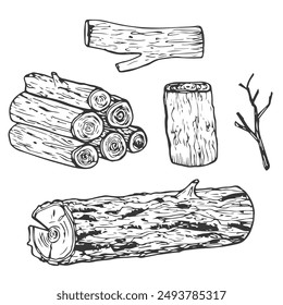 Wooden logs and twigs sketch on white background. Vector illustration of timber and wood stump. Firewood hand drawing line sketch