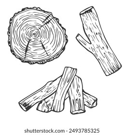 Wooden logs and twigs sketch on white background. Vector illustration of timber and wood stump. Firewood hand drawing line sketch