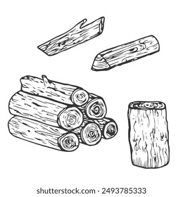 Wooden logs and twigs sketch on white background. Vector illustration of timber and wood stump. Firewood hand drawing line sketch