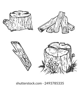 Wooden logs and twigs sketch on white background. Vector illustration of timber and wood stump. Firewood hand drawing line sketch