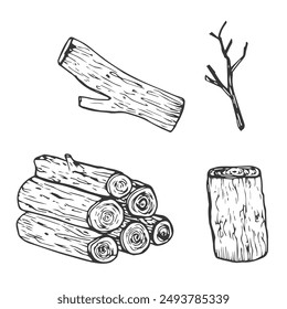 Wooden logs and twigs sketch on white background. Vector illustration of timber and wood stump. Firewood hand drawing line sketch