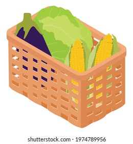 Wooden market box full of colorful fresh vegetables on a white background. Balanced diet concept. Cabagge, golden corn and eggplant. Vector