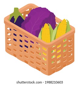 Wooden market box full of colorful fresh vegetables on a white background. Balanced diet concept. Cabagge, golden corn and eggplant. Vector