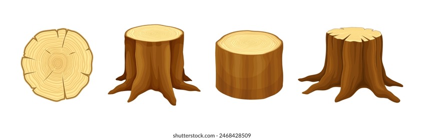 Wooden Material and Object of Sawmill Vector Set