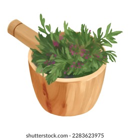 Wooden Mortar and Pestle with Herbs Isolated Hand Drawn Painting Illustration