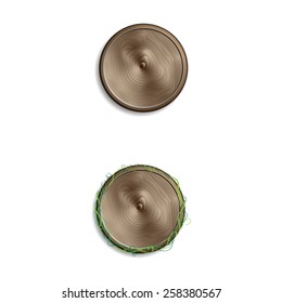 Wooden and nature round empty button for your design