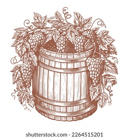 Wooden oak barrel and bunches of grapes, vine. Winery, distillery concept. Vintage sketch vector illustration