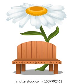 Wooden plank bench under a canopy in the form of a Daisy flower isolated on a white background. Vector cartoon close-up illustration