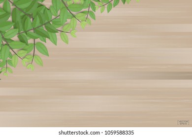 Wooden planks texture and green leaves. Natural abstract background for product advertisement. Realistic vector illustration.